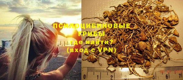 прущие крисы Карпинск