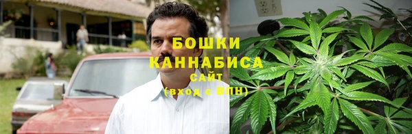 прущие крисы Карпинск